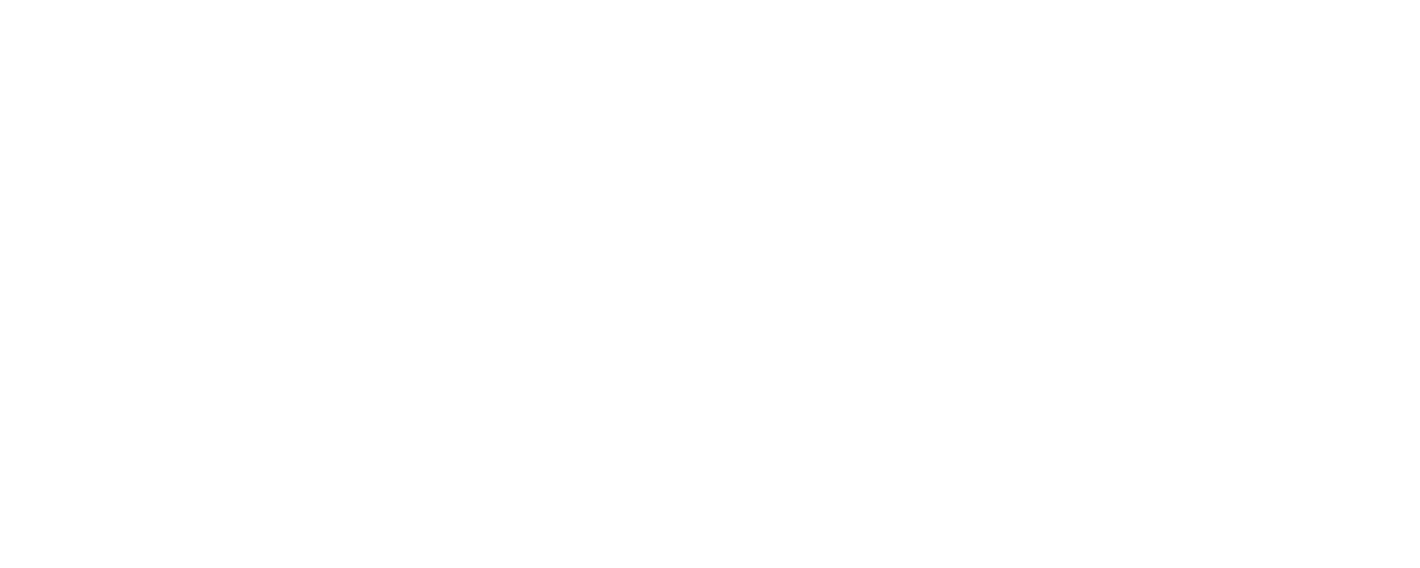 Wyyerd Fiber Logo_Monochrome White